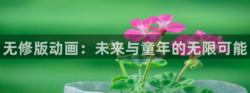 3d动漫天堂：无修版动画：未来与童年的无限可能
