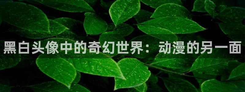 cos动漫天堂官网下载：黑白头像中的奇幻世界：动漫的另一面