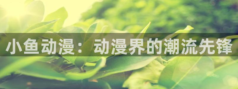 下载动漫天堂：小鱼动漫：动漫界的潮流先锋