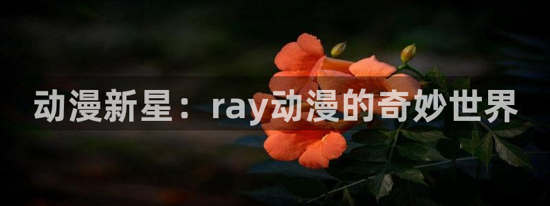 动漫天堂91：动漫新星：ray动漫的奇妙世界