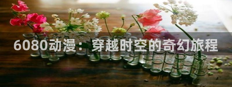 coco动漫天堂：6080动漫：穿越时空的奇幻旅程