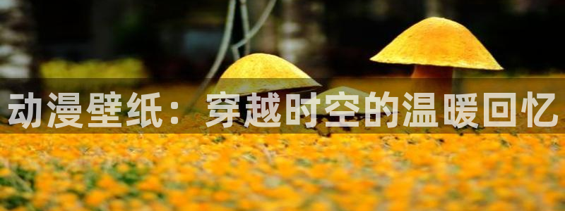 动漫天堂cc：动漫壁纸：穿越时空的温暖回忆