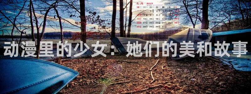 秋叶原动漫天堂：动漫里的少女：她们的美和故事
