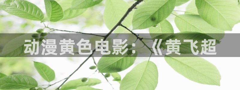 亚洲动漫天堂：动漫黄色电影：《黄飞超