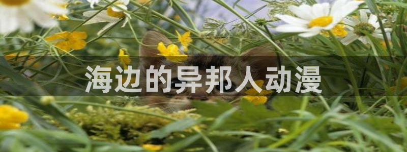 h动漫天堂：海边的异邦人动漫