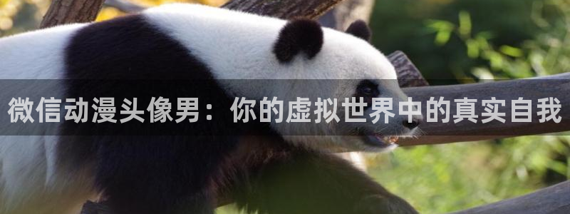 动漫天堂电影：微信动漫头像男：你的虚拟世界中的真实自我