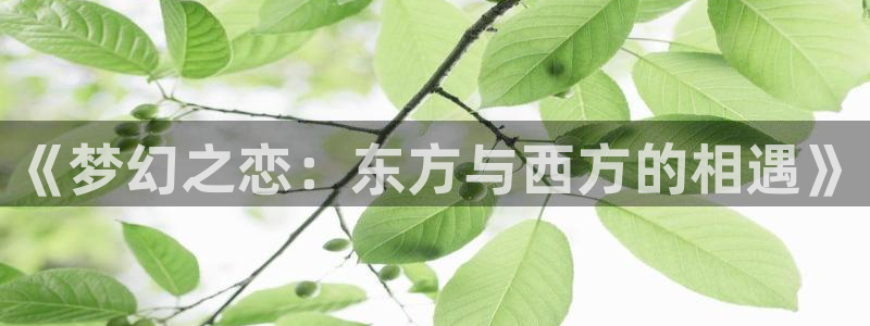 动漫天堂.cc：《梦幻之恋：东方与西方的相遇》