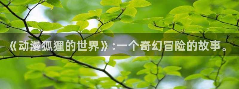 coco动漫天堂：《动漫狐狸的世界》:一个奇幻冒险的故事。