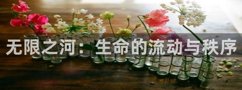动漫天堂官方正版下载：无限之河：生命的流动与秩序