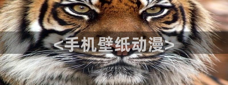 3d动漫天堂网：<手机壁纸动漫>